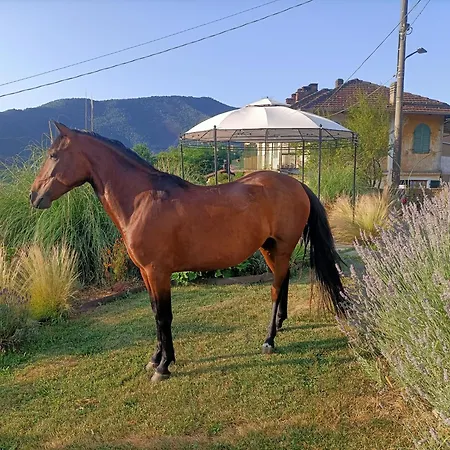 Bed & Breakfast La Francesina